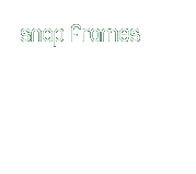 SnapFrameCity
